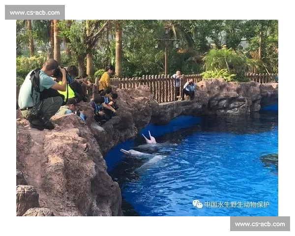 海焰之灵亮相！白海豚跃浪燃动湾区全运激情